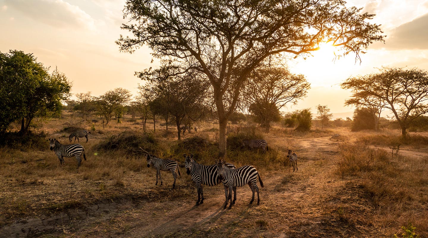 visityRwanda wit Jado Tours And safaris