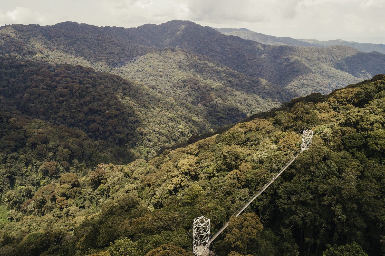 Rwanda Adventures
