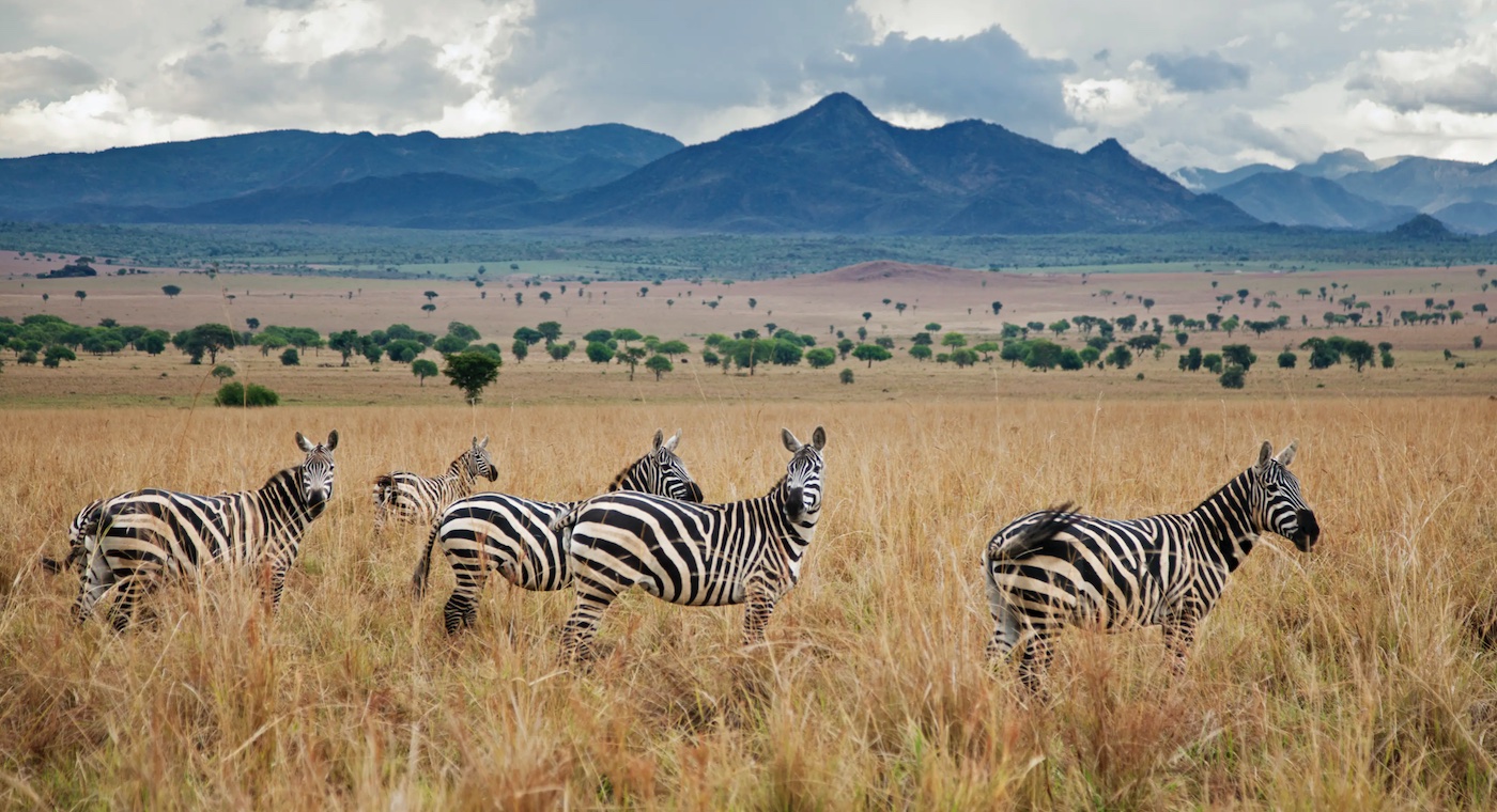 Rwanda Adventures