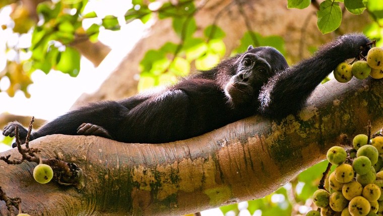 visityRwanda wit Jado Tours And safaris