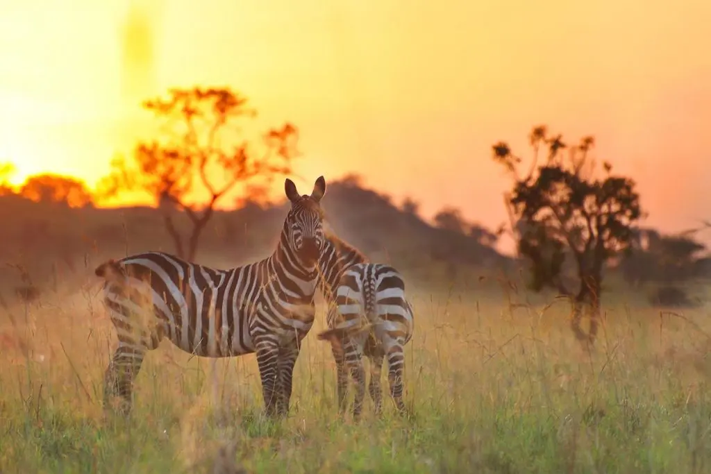 visityRwanda wit Jado Tours And safaris